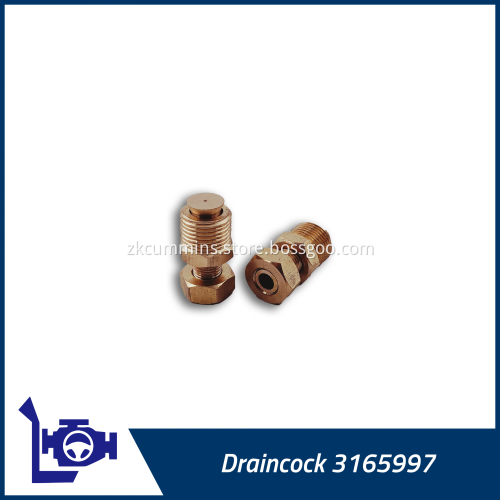 3165997 Cummins Draincock